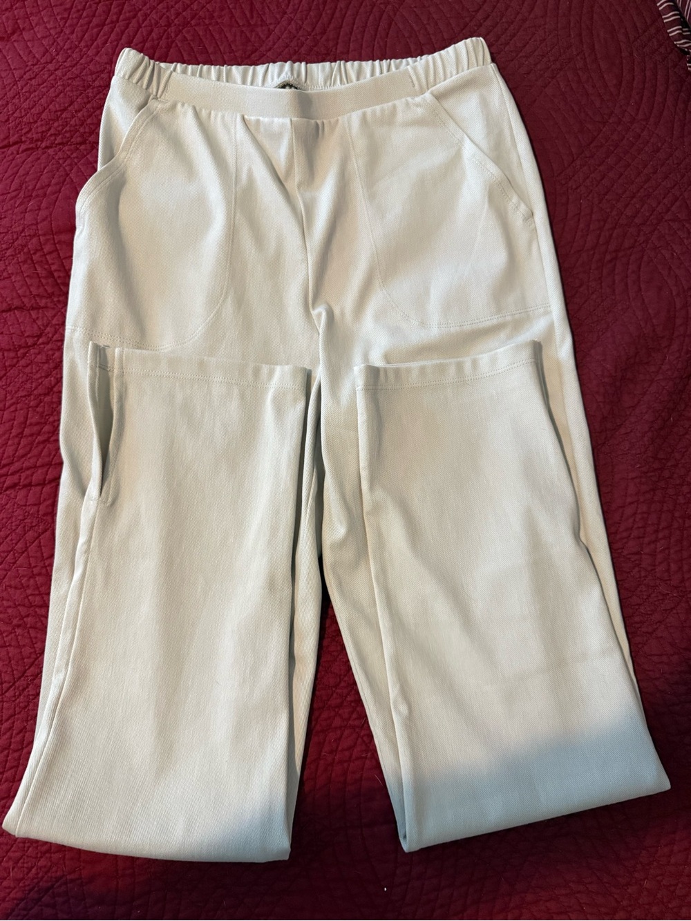 NWOT, Women with Control Soft Light Tan Straight Leg Pull-On Pants